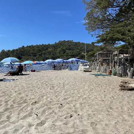 Appartement Jardin 4 Pers Piscine Le Lavandou